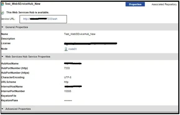 Web-Service-Hub-Creation-Steps-2
