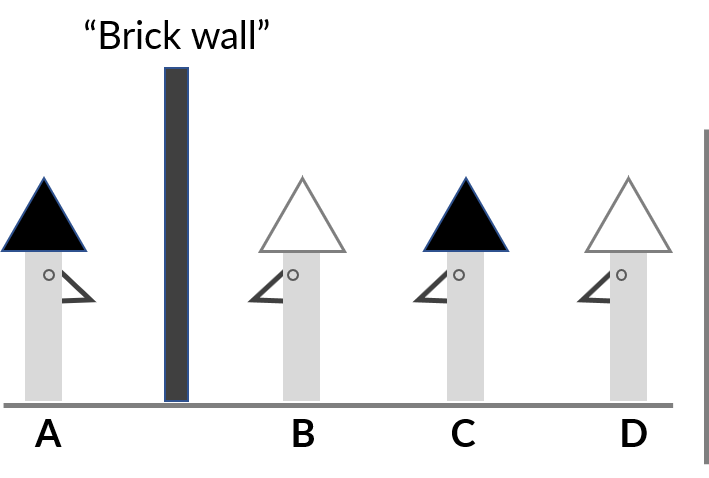 Data Science Cowboy Brick wall